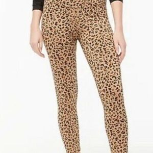 J Crew Factory Womens Size Small Cropped Everyday Leggings (Leopard Print)